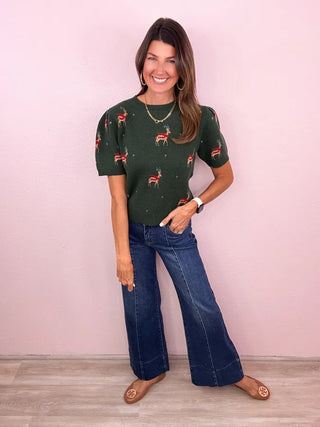 Hello, Deer Sweater Top