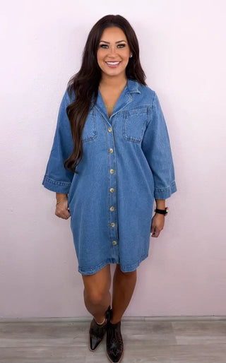 Denim Moments Button Up Dress