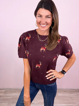 Hello, Deer Sweater Top