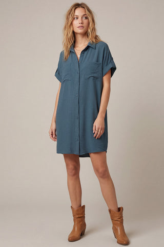 All Agendas Shirt Dress (Denim)