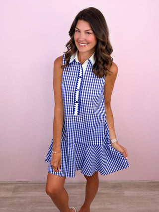 Preppy Picnic Dress
