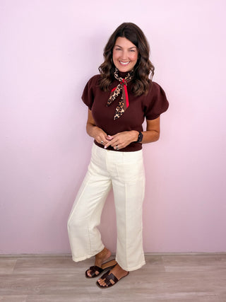 Chic Affair Sweater Top (Brown)