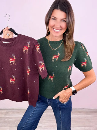 Hello, Deer Sweater Top