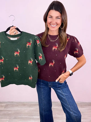 Hello, Deer Sweater Top