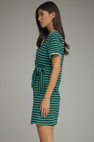 Signature Stripe Dress (Hunter)