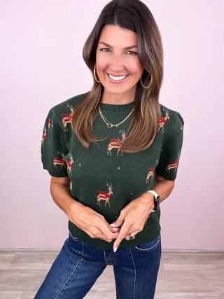 Hello, Deer Sweater Top