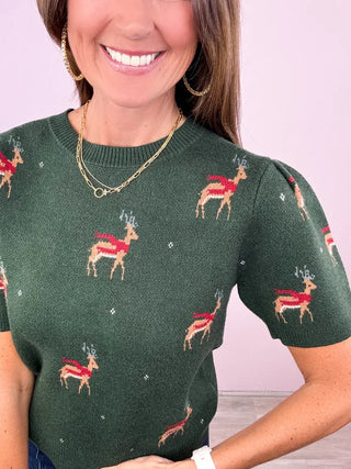 Hello, Deer Sweater Top